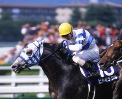 競馬 ミラクルおじさん 誰 予想 都市伝説