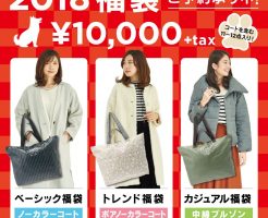 アース 福袋 中身 予約 ネタバレ