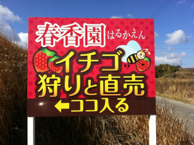 イチゴ狩り　いちご　愛知県　予約　スポット　人気　ランキング　口コミ　ネット
