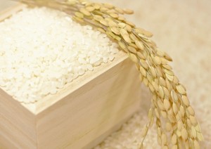 新米　２５年度　２６年度　ブランド米　ご当地米　炊き方