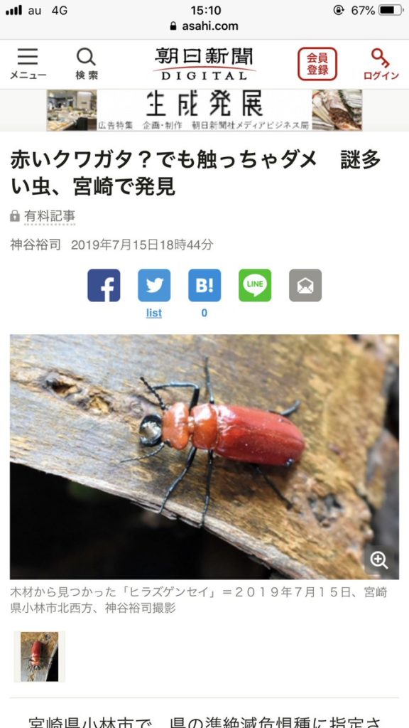 有毒の赤いクワガタ ヒラズゲンセイでかぶれた時の対処法は 生息地 分布も要チェック